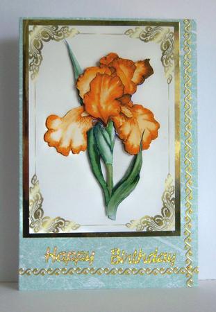 Fiber Textured Paper Pack 1 by Katie Silver
