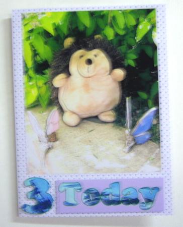 Hedgehog1 by Katie Silver