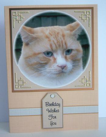Ginger Cat Quick Card by Katie Silver