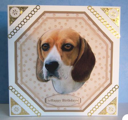 Beagle Dog Plate Shaped Card & Stand by Katie Silver