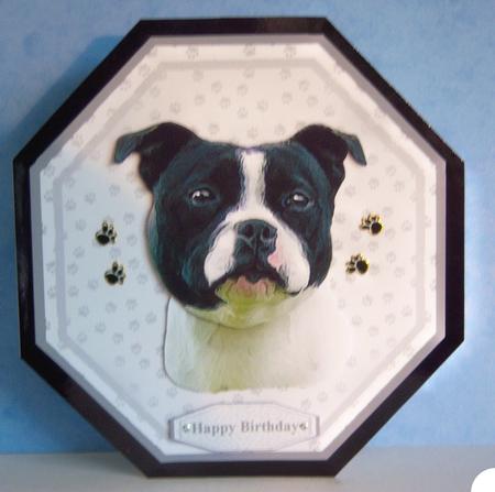 Staffordshire Bull Terrier,b & W, Plate Shaped Card & Stand by Katie Silver