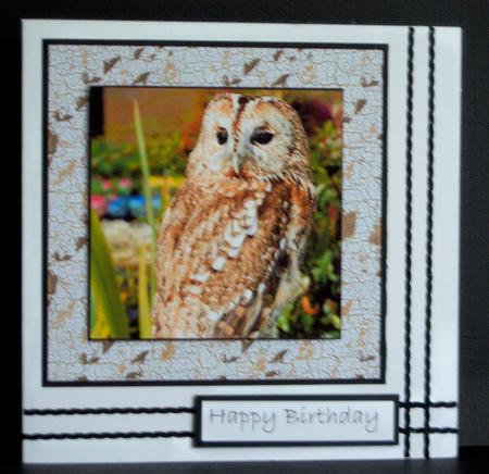 Tawny Owl Toppers by Katie Silver