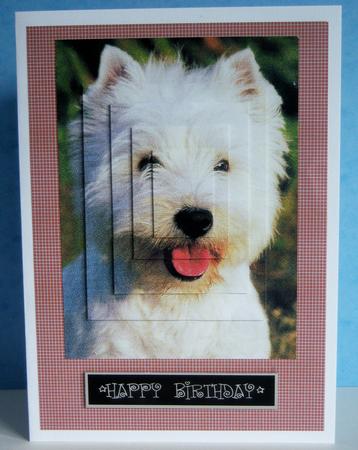 Fun Valetines Crisscross Backing Paper or Card Blank by Katie Silver