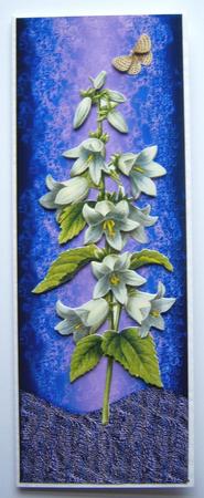 2 Dl Large Card Fronts Blu Green by Katie Silver