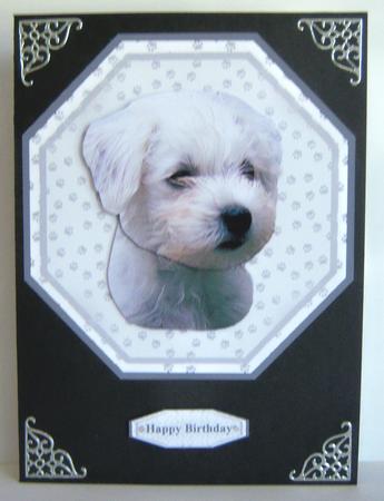 Westie Puppy Plate Shaped Card & Stand by Katie Silver