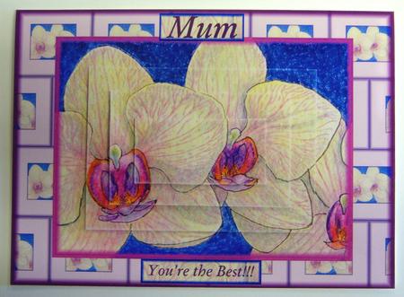 Moth Orchid Card Front for Mum by Katie Silver