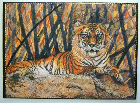 A4 Tiger by Katie Silver