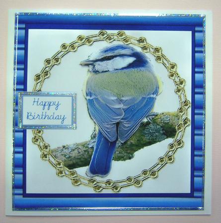 Blue Tit Birthday Card by Katie Silver