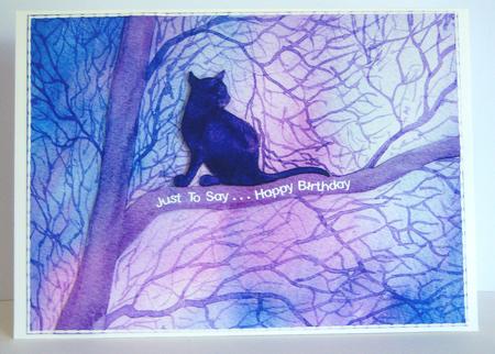 A4 Cat Sitting in a Tree Gazing at the Evening by Katie Silver