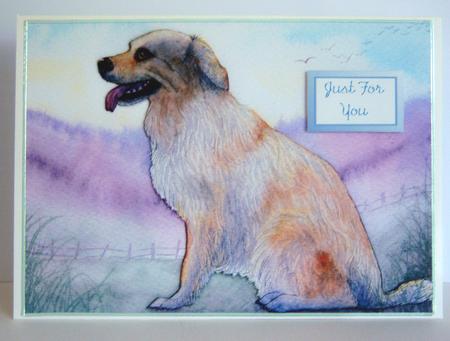 Golden Retriever Dog Waiting Patiently for His Humans by Katie Silver