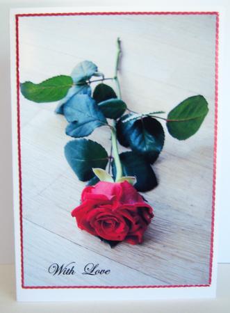 The Rose -  by Katie Silver
