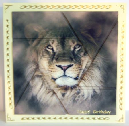 Lion Head Camera Eye Stacker by Katie Silver