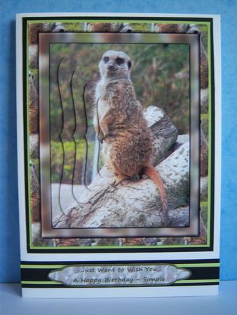 Meerkat Birthday Greetings - Bracket Pyramid Card Front by Katie Silver