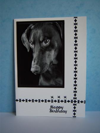 Doberman Topper Sheet by Katie Silver