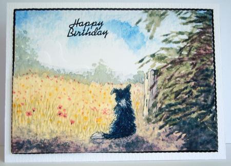 Border Collie Dog Meditating on Summer Meadow by Katie Silver