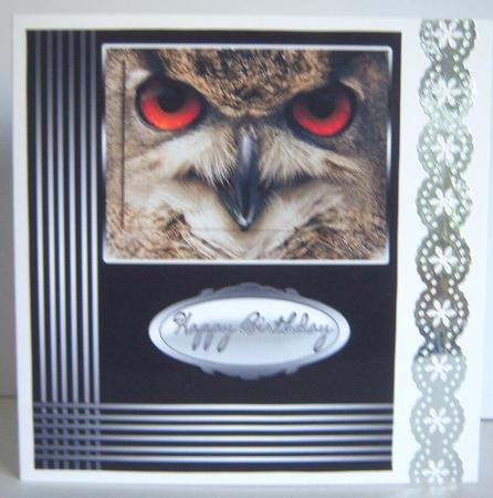 Eagle Owl Stylish Birthday or Father's Day Card by Katie Silver