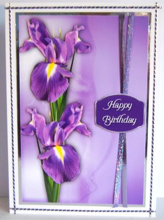 Purple Iris Birthday or Sympathy by Katie Silver