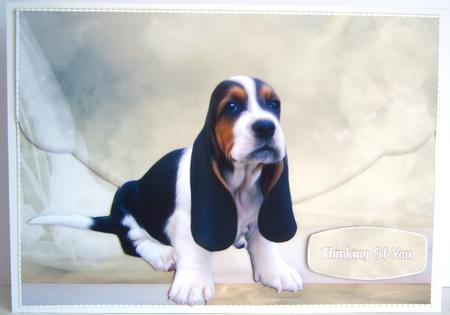Basset Envelope Card by Katie Silver