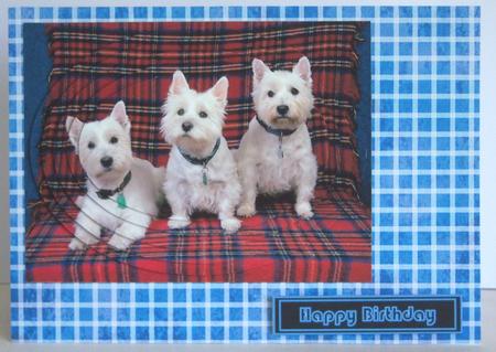 Men's Grungey Grid Backing Paper Set by Katie Silver