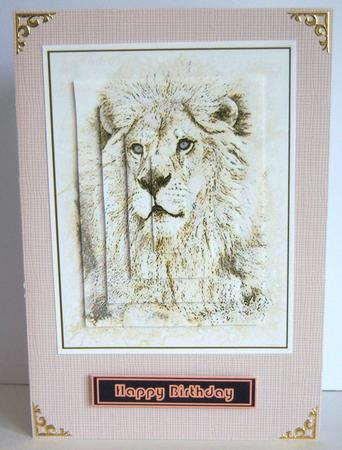 'linen Embossed' Backing Paper - Mens DIY Colours by Katie Silver