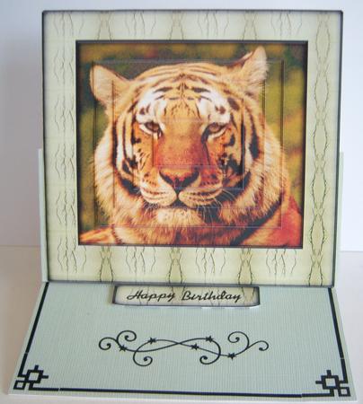 Wild Animal Series - Siberian Tiger by Katie Silver