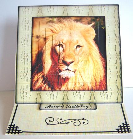 Wild Animals Series - Lion by Katie Silver