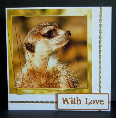 Meerkat Twisted Pyramid by Katie Silver
