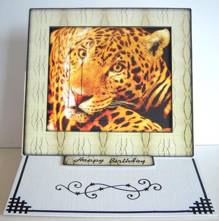 Wild Animal Series - Jaguar by Katie Silver