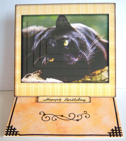 Wild Animal Series - Black Leapord by Katie Silver