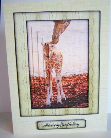 Young Wild Animal Series - Giraffe Calf - First Steps by Katie Silver