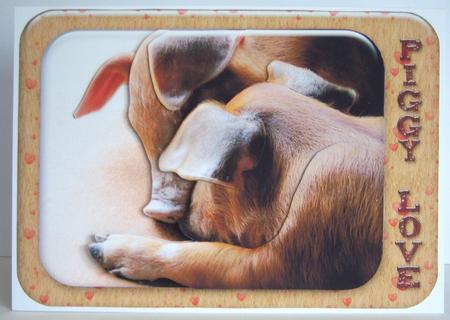 Piggy Love, Page 1 Featured Gallery Photo
