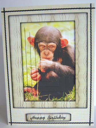 Young Wild Animal Series - Baby Chimpanzee by Katie Silver