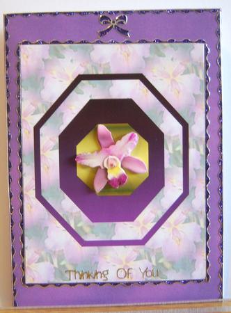 Backing Paper to Match Pansy A4 Design by Katie Silver