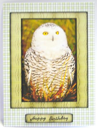 Pretty Gingham Backing Paper by Katie Silver