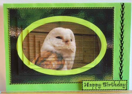 Sumptuous Satin Backing Paper - Lemon & Lime by Katie Silver