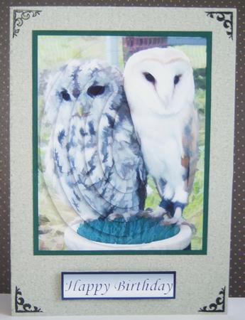 Mink Paper by Katie Silver