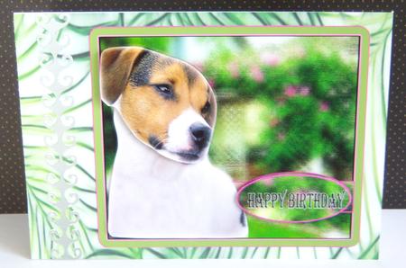 Green Fern Paper by Katie Silver