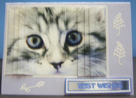 Powder Blue Paper by Katie Silver