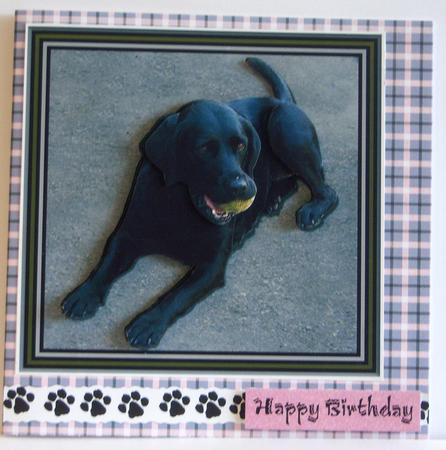 Blue Plaid Backing Sheet by Katie Silver
