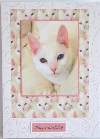 'swirls Embossed' Backing Paper - Shades of White by Katie Silver