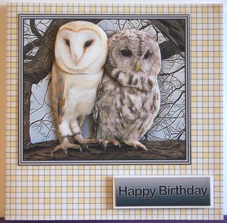 Pretty Gingham Backing Paper by Katie Silver