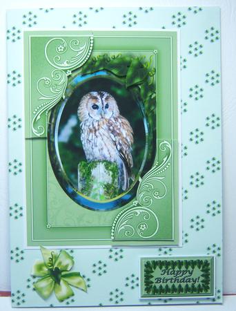 Pale Green with Deeper Green Spot Backing Paper Sheet by Katie Silver