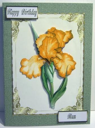 St Patricks Day Green Paper by Katie Silver