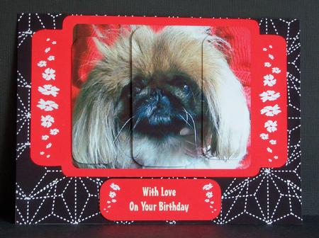 Pekinese Dog Panel Card by Katie Silver