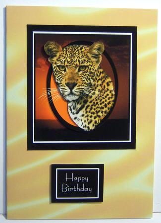 Sumptuous Satin Backing Paper - Golden Sunshine by Katie Silver