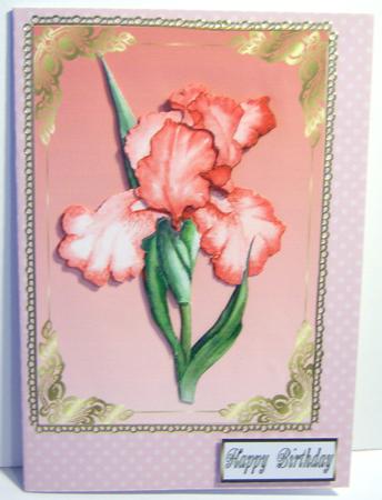 Flower Filled Wheelbarrow Matching Backing Paper by Katie Silver