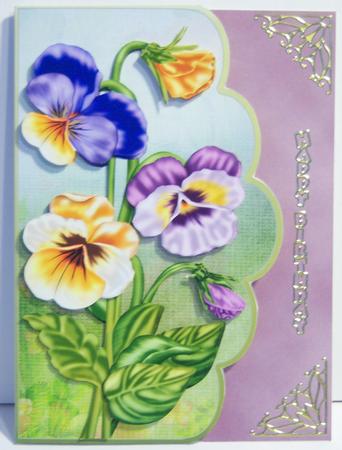 Pretty Viola Matching Backing Paper by Katie Silver
