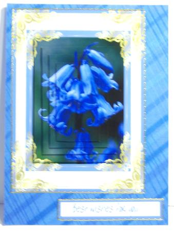 Blue Lines Backing by Katie Silver