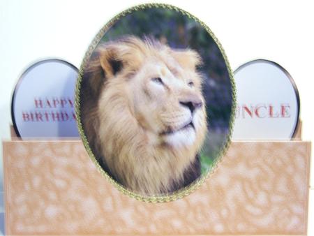 Asiatic Lion - on the Wild Side - Oval Stepper Card Kit by Katie Silver