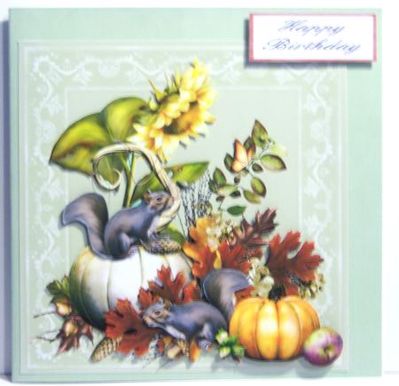 Aimees Room Backing 4 by Katie Silver